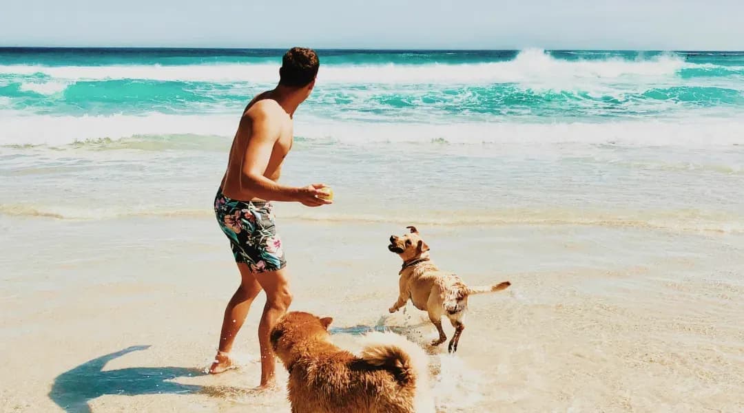 The Rhythm of the Sea: A Guide to the Best Time To Visit Playa Del Carmen