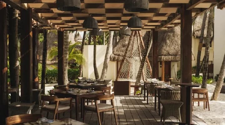 A Culinary Journey at Mahekal Beach Resort: Flavors that Nourish the Soul
