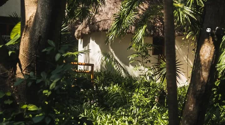 Mahekal Beach Resort: Your Sanctuary on Calle 38, Playa del Carmen