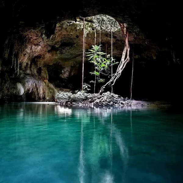 Essential Guide: What to Do in Playa del Carmen and Connect with Its Magical Soul